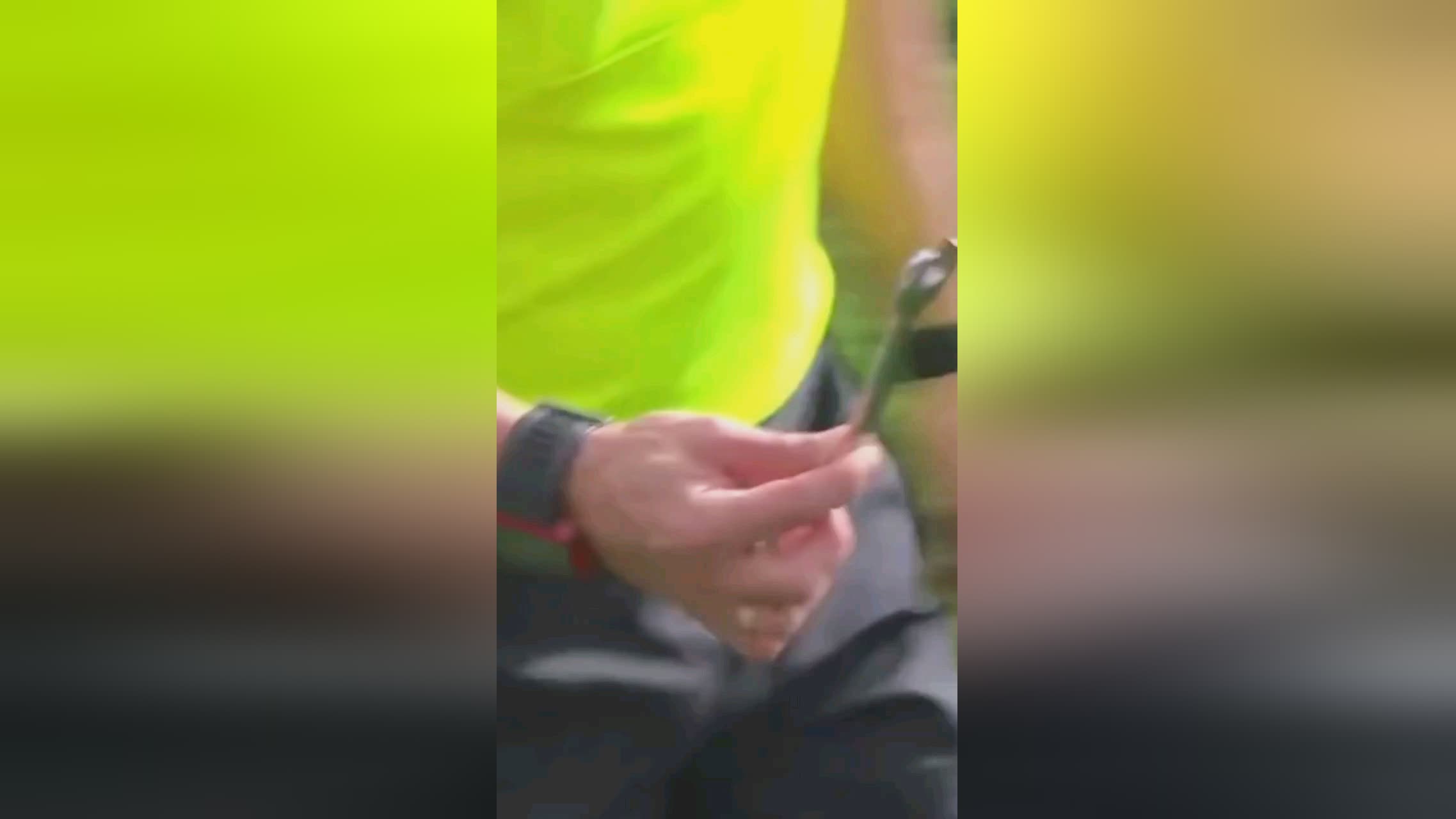 素亚